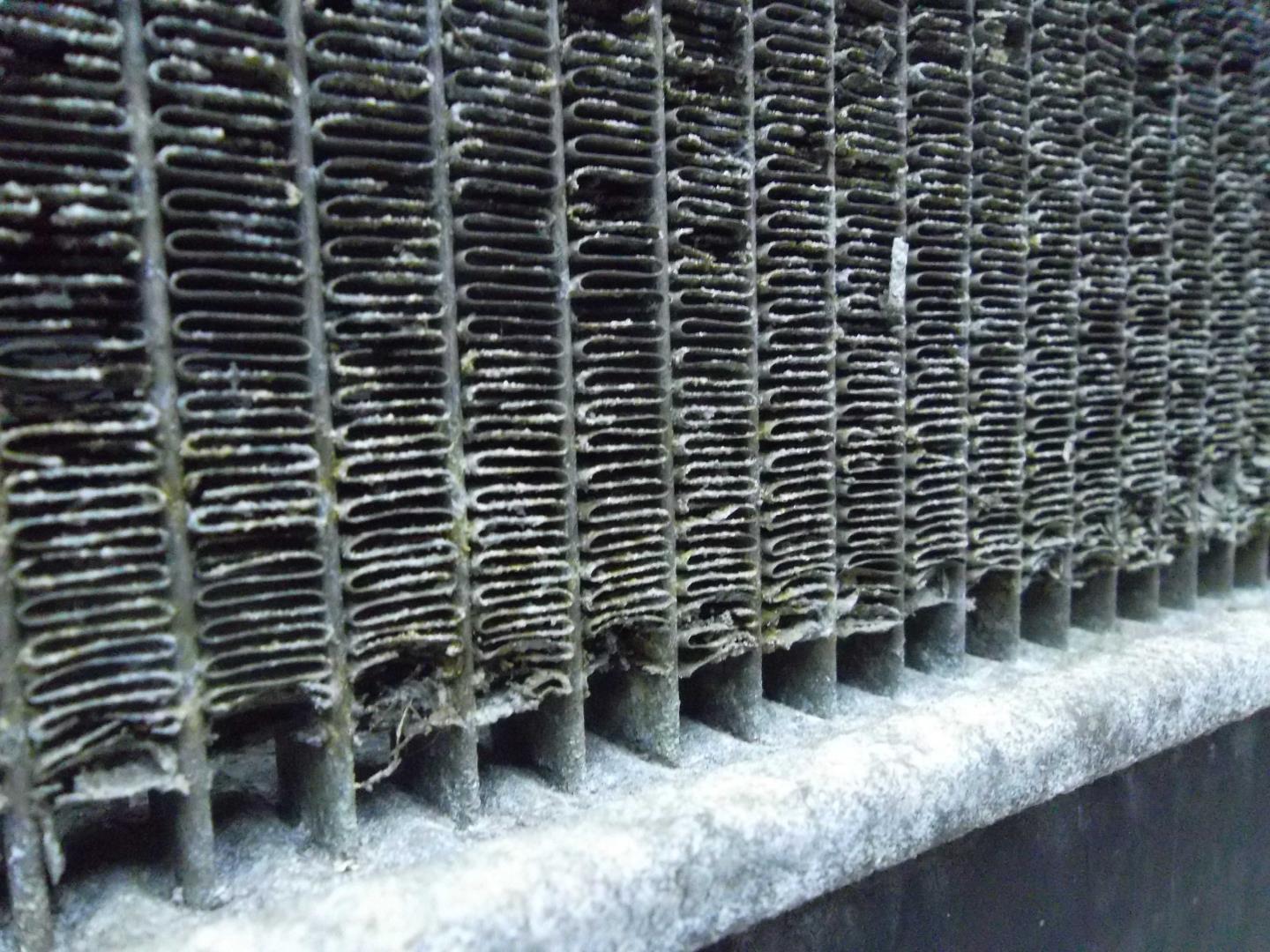 Радиатор охлаждения двигателя основной