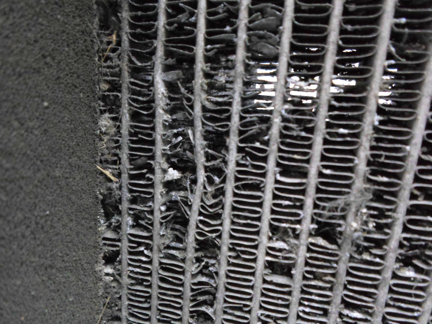 Вентилятор радиатора