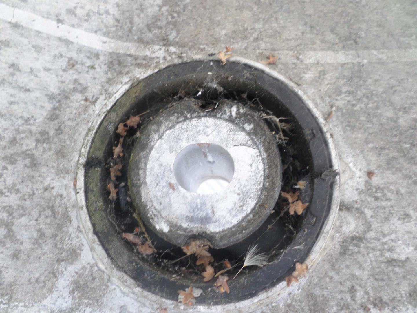 Ступица задняя