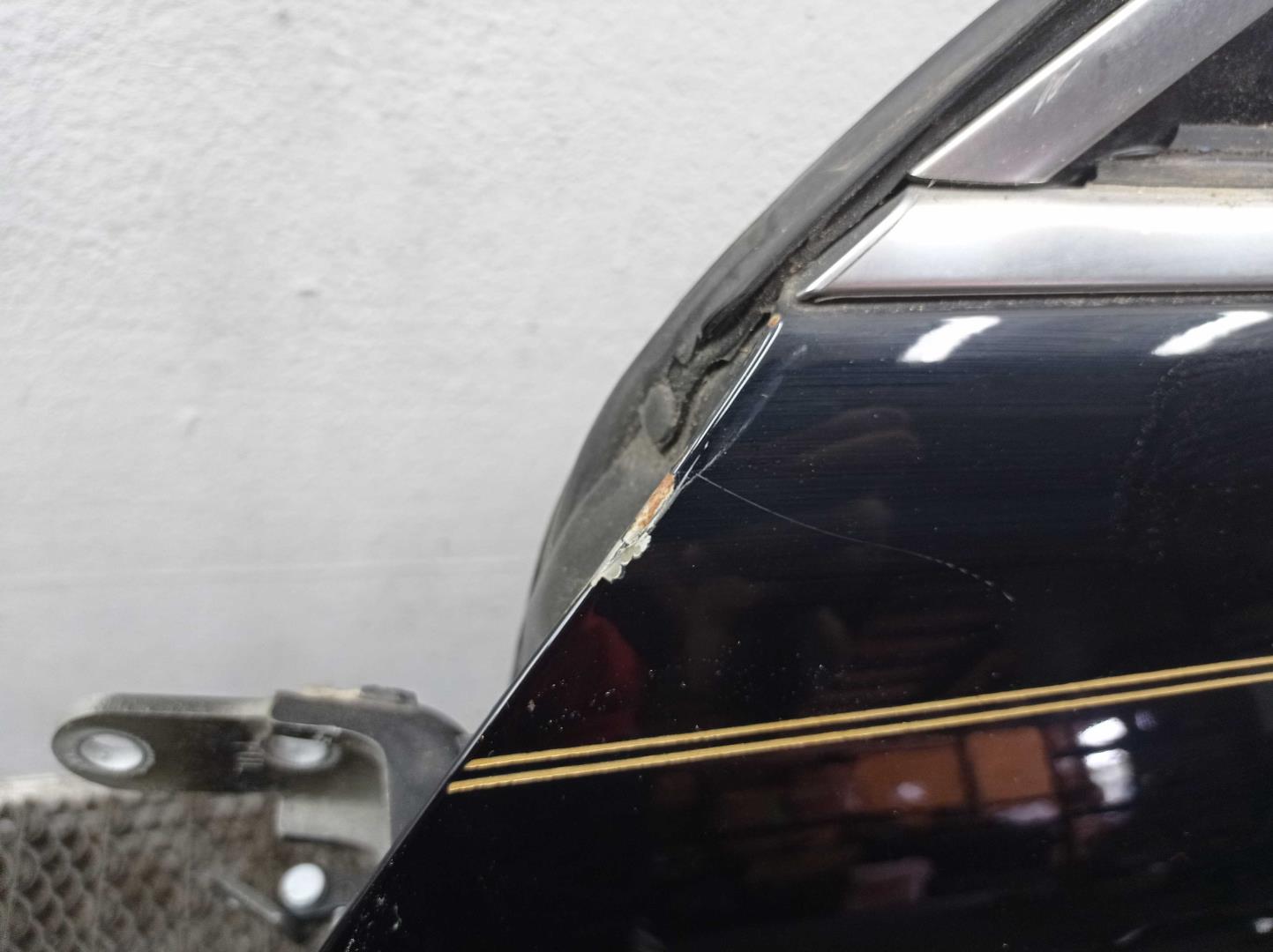 Петля двери передней