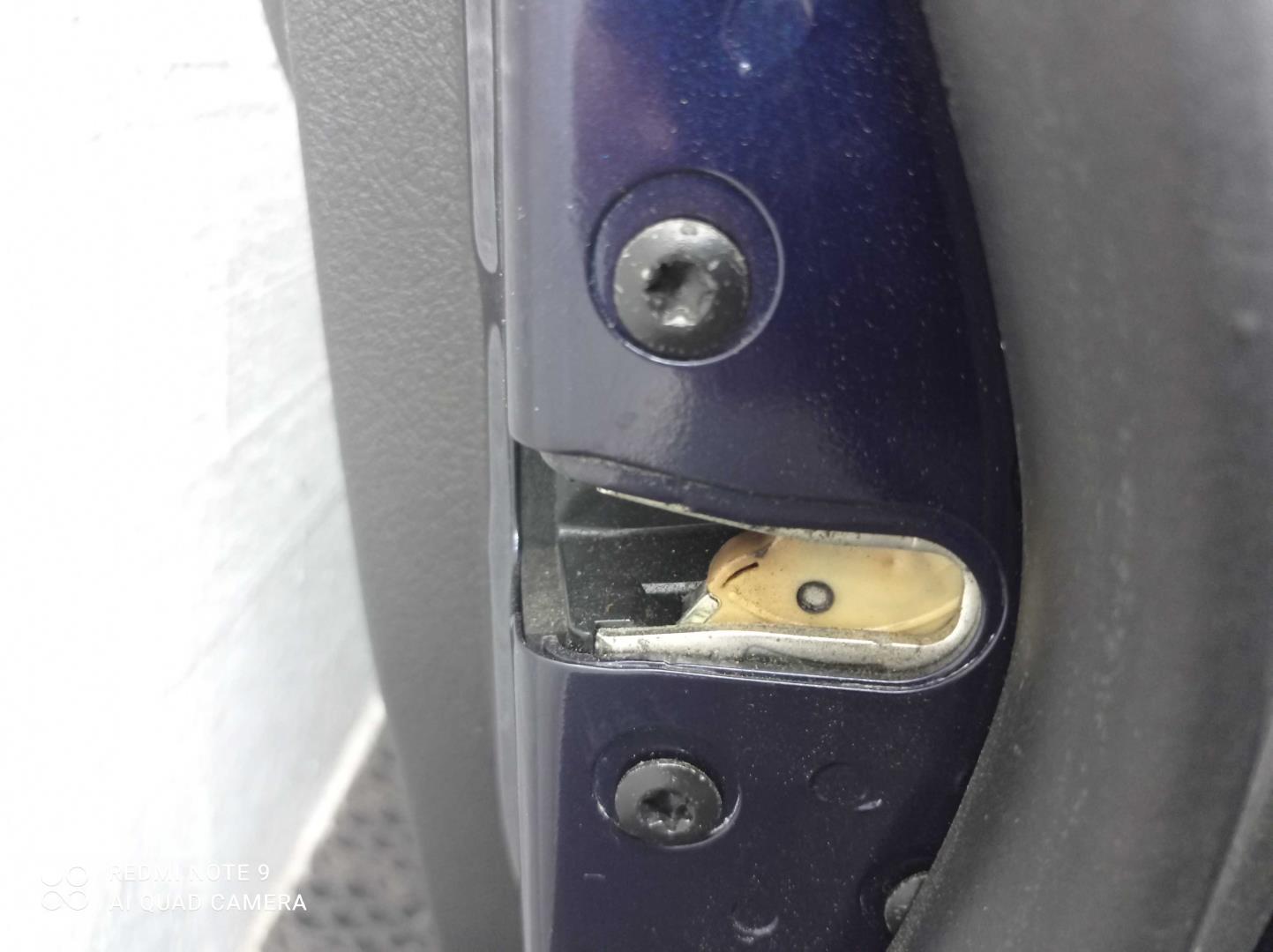 Петля двери передней