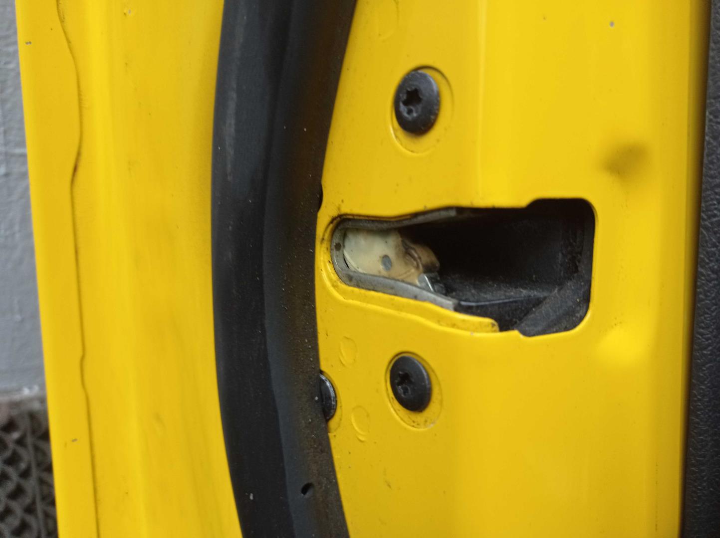 Петля двери передней