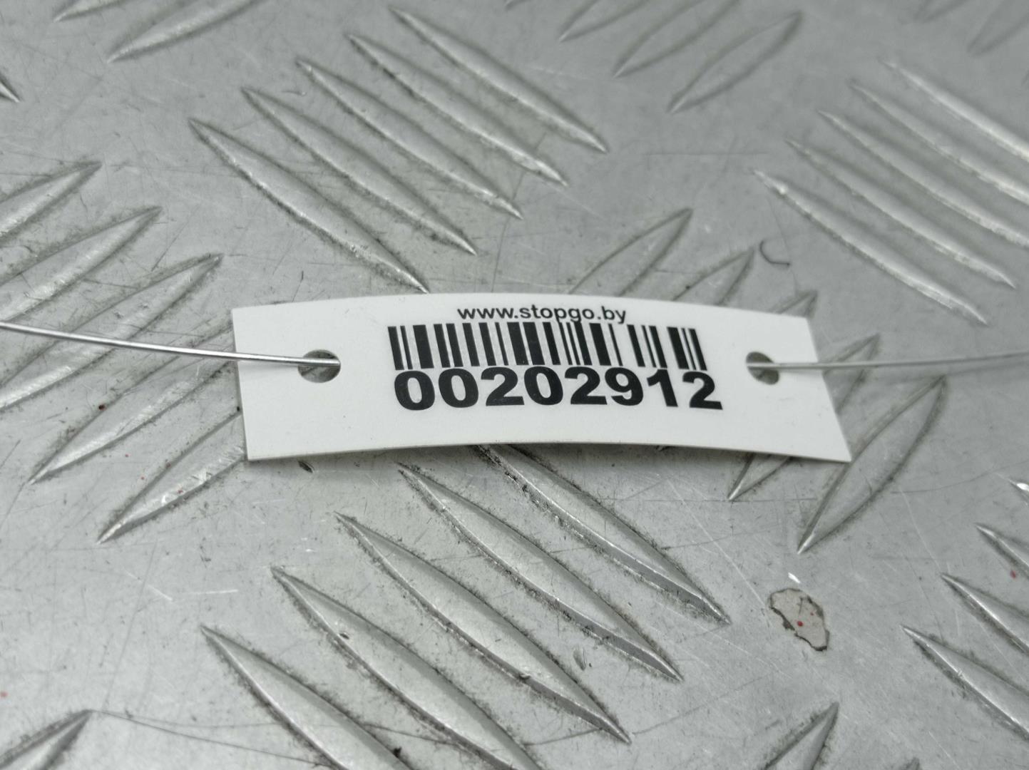 Петля двери передней