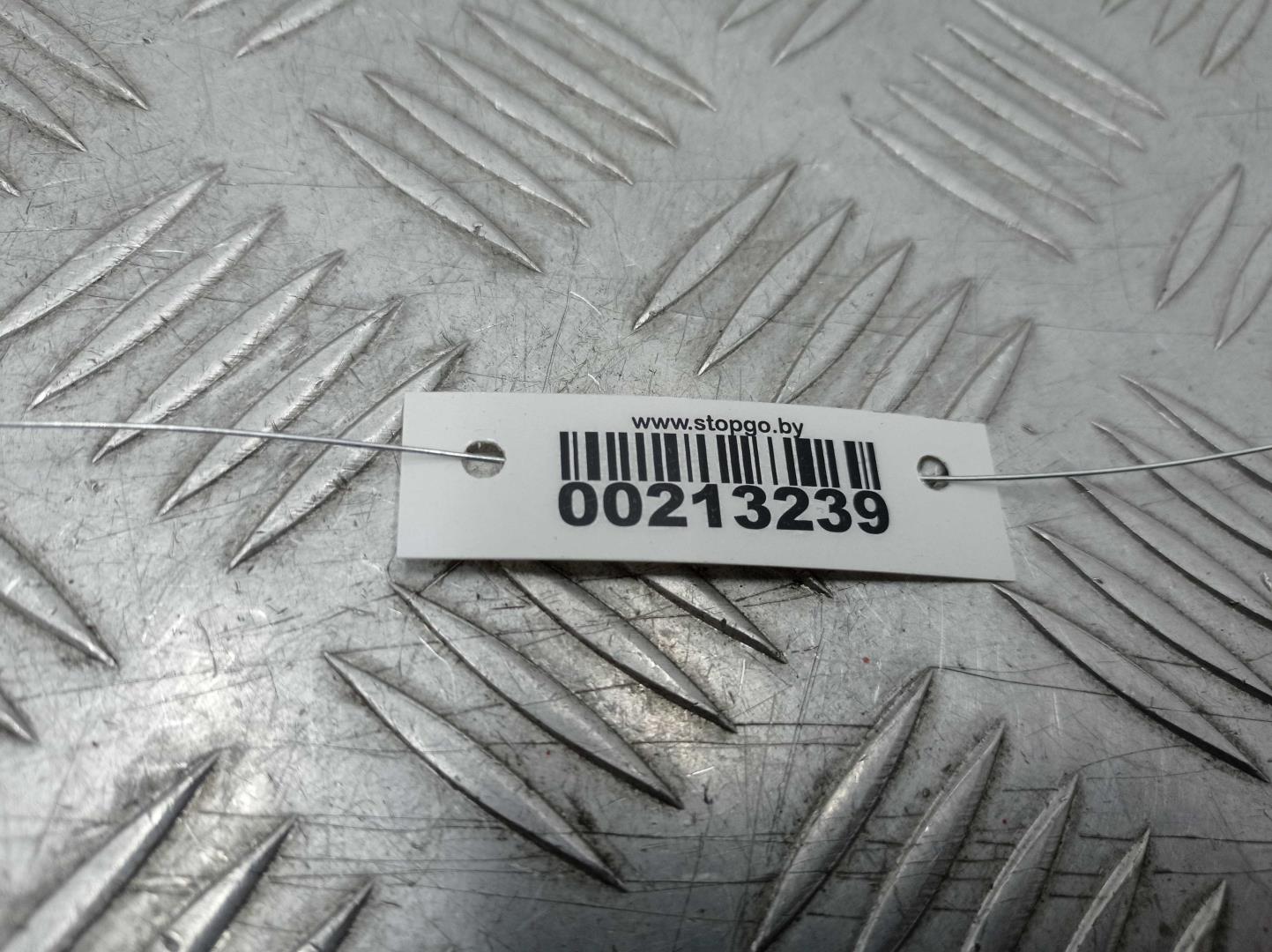 Петля двери передней