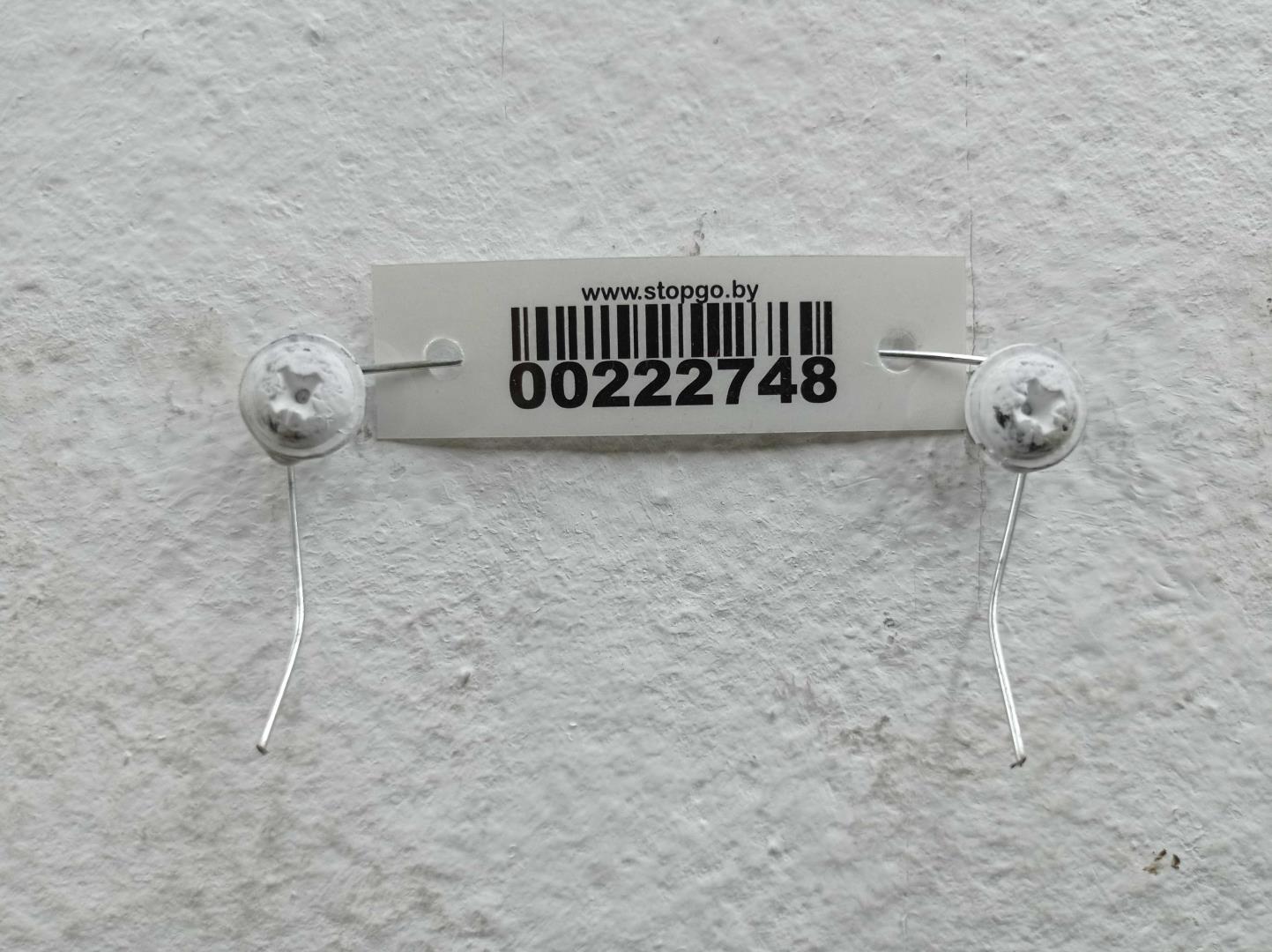 Петля двери передней