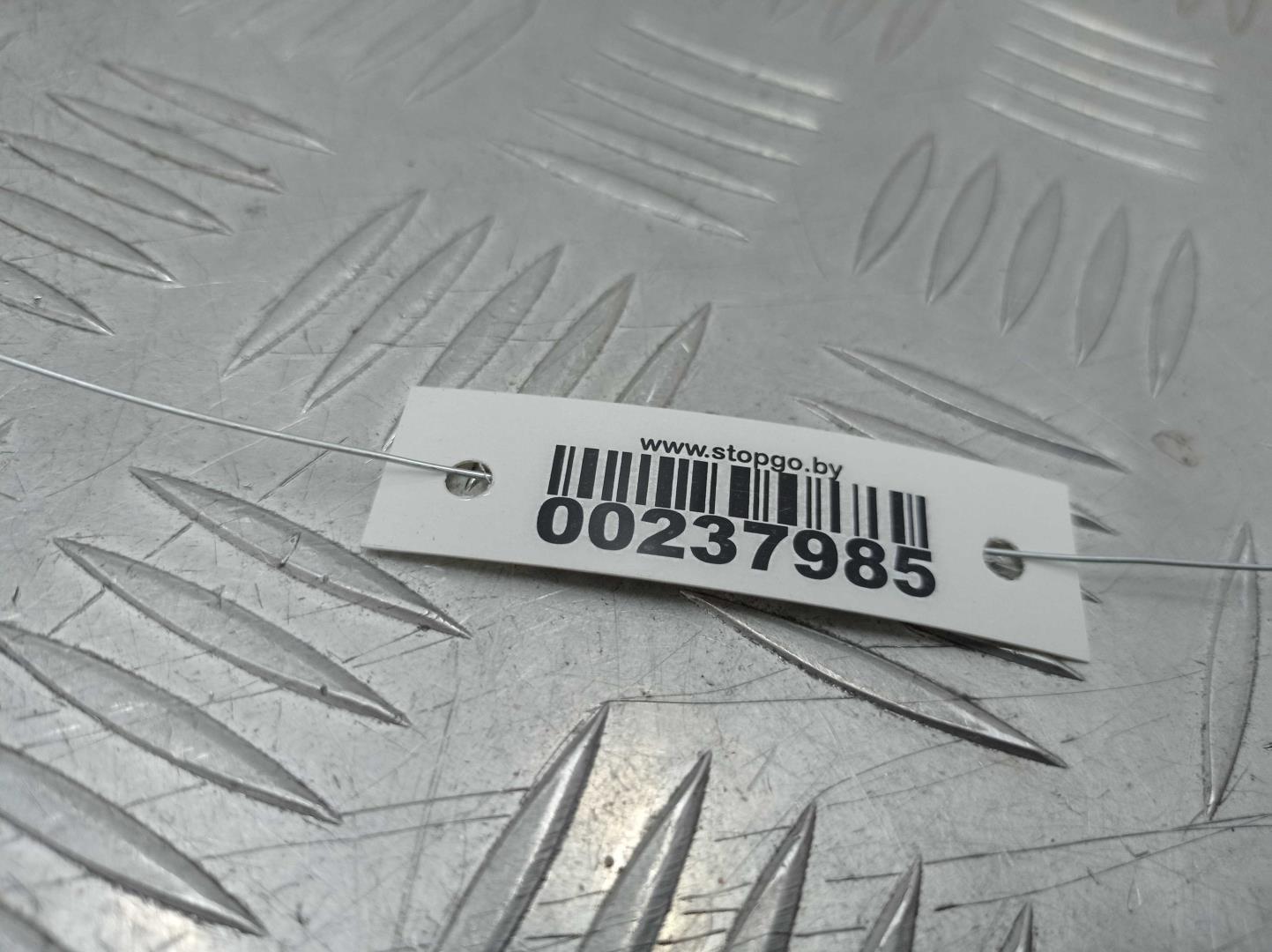 Петля двери передней