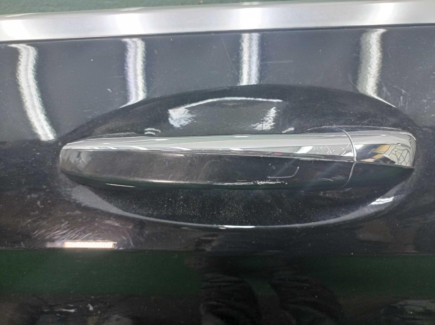 Дверь передняя левая