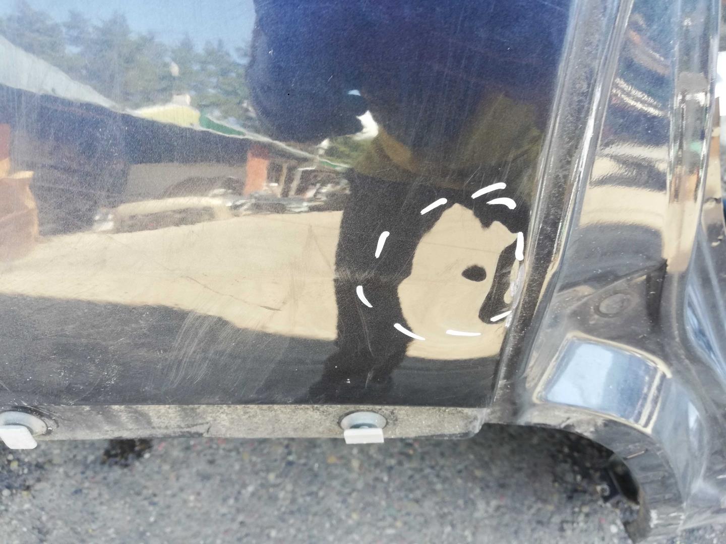 Крыло заднее правое