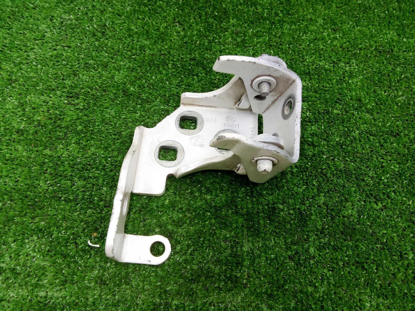 Петля двери передней