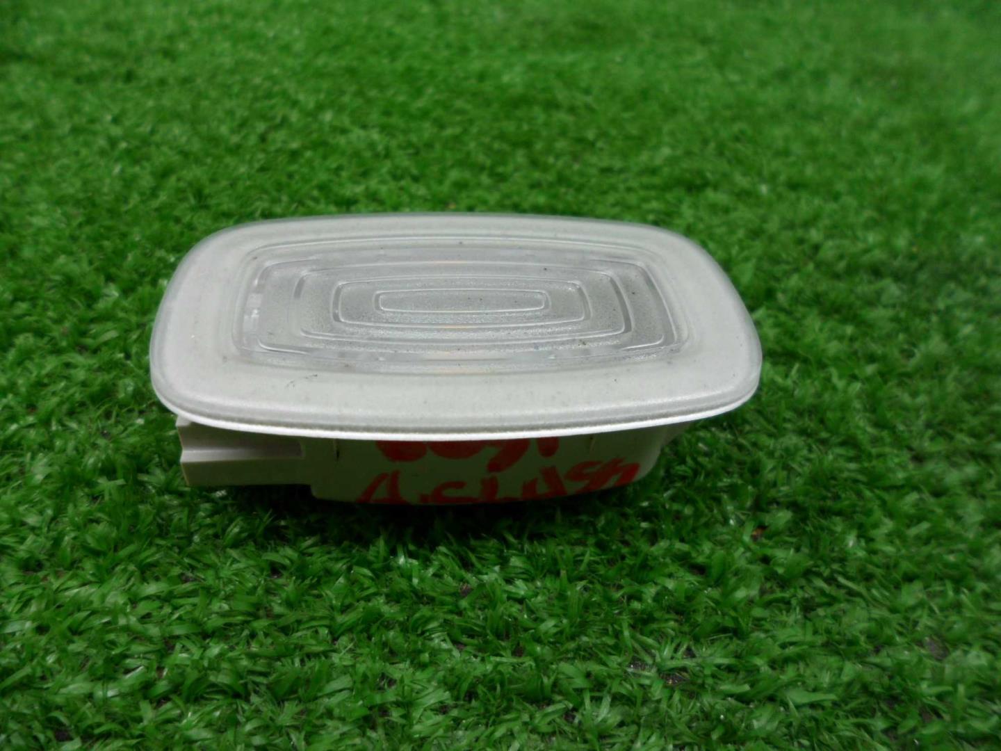 Плафон салонный