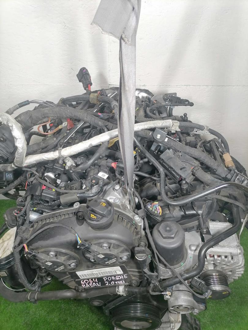 AP-0016659561 AP-0016659561