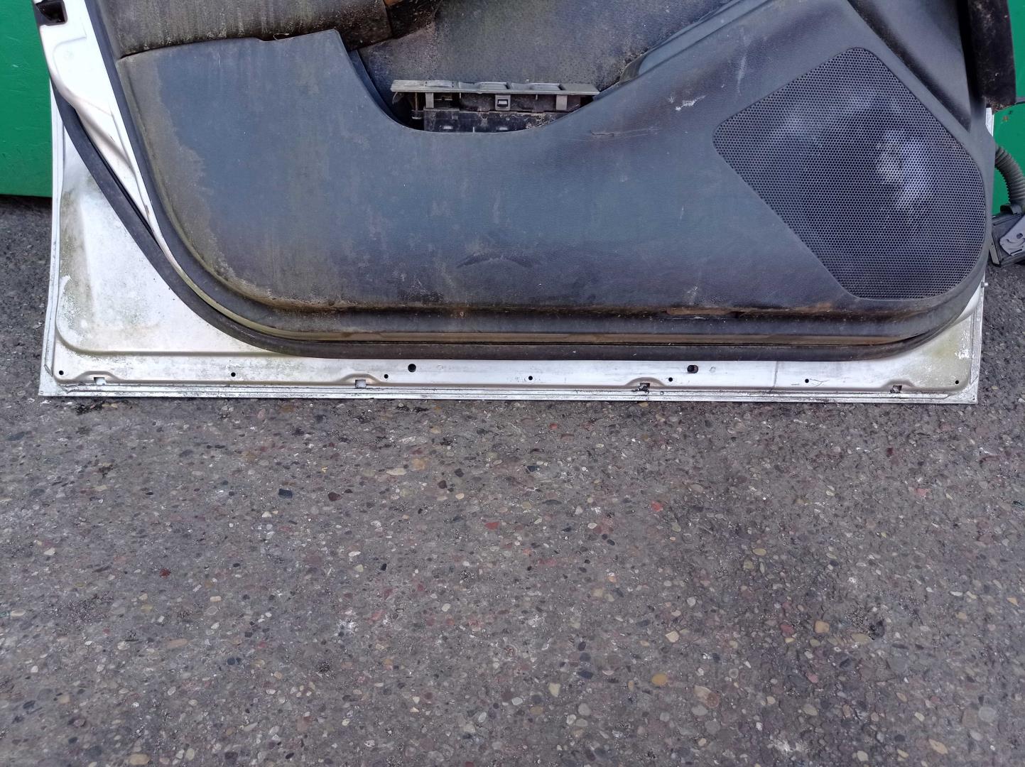 Дверь передняя левая