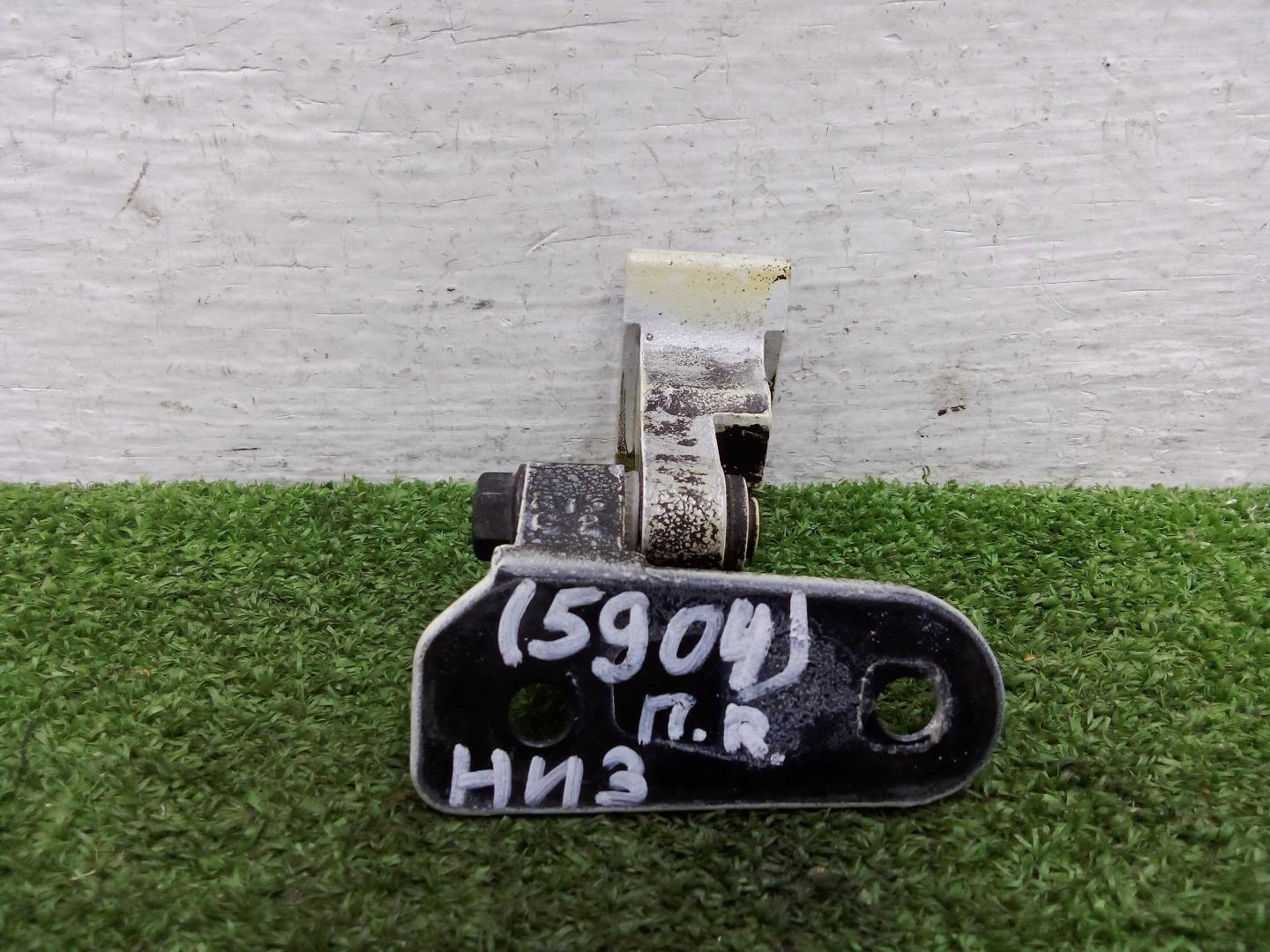 Петля двери передней