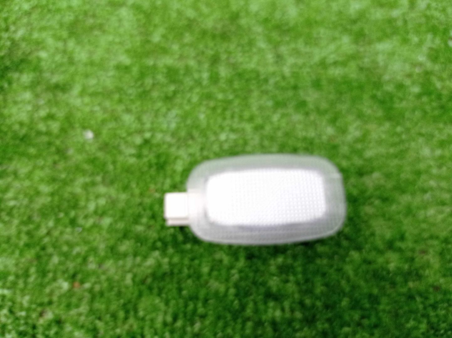 Плафон салонный