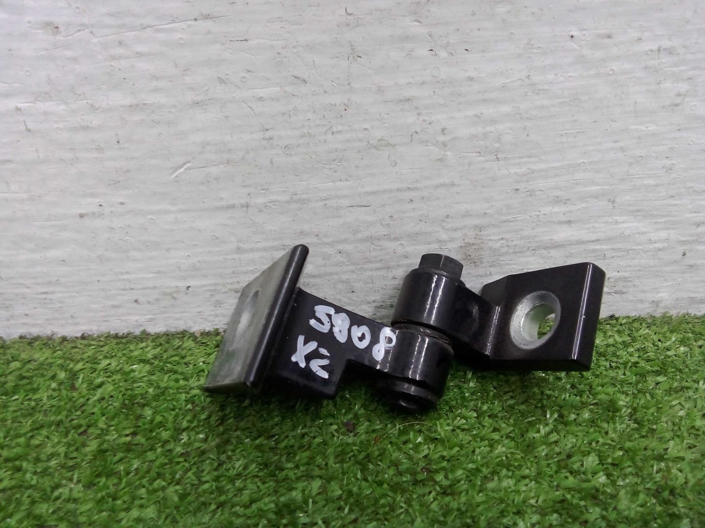 Петля двери передней