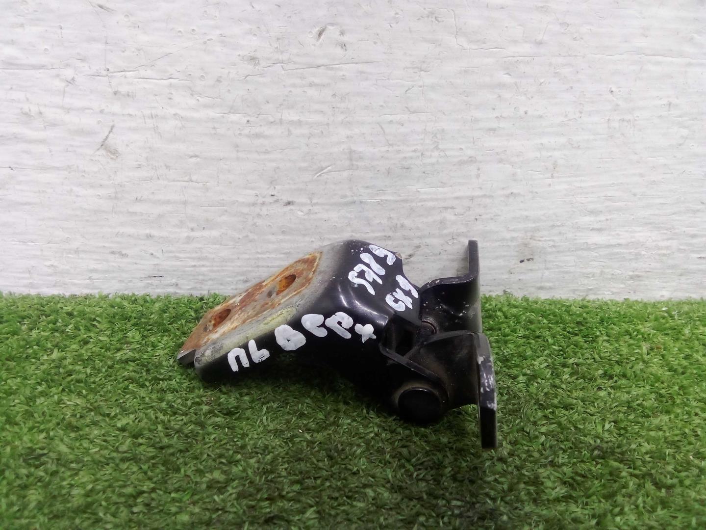 Петля двери передней