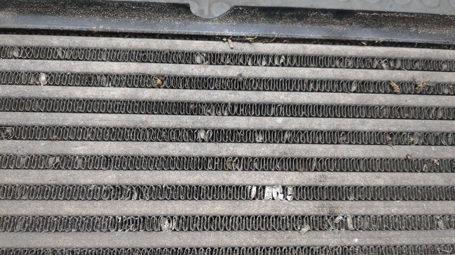 Интеркулер