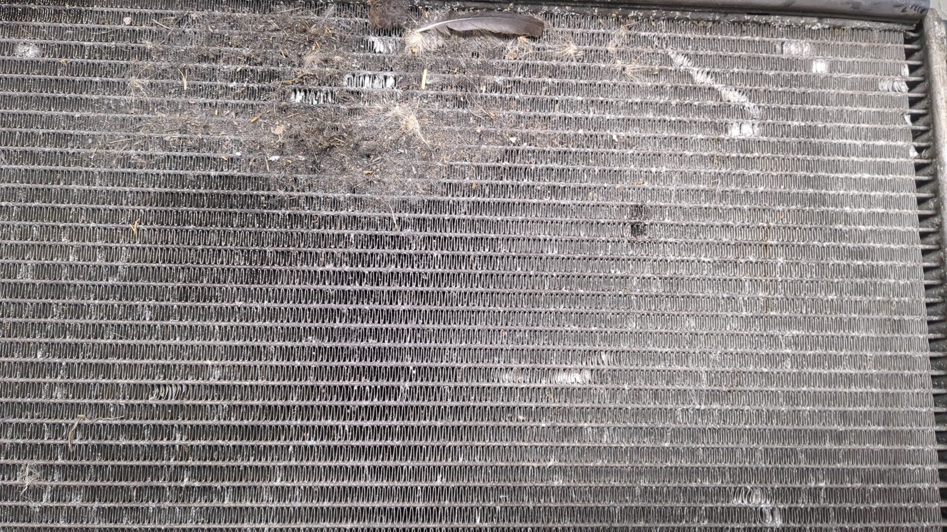 Радиатор охлаждения двигателя основной