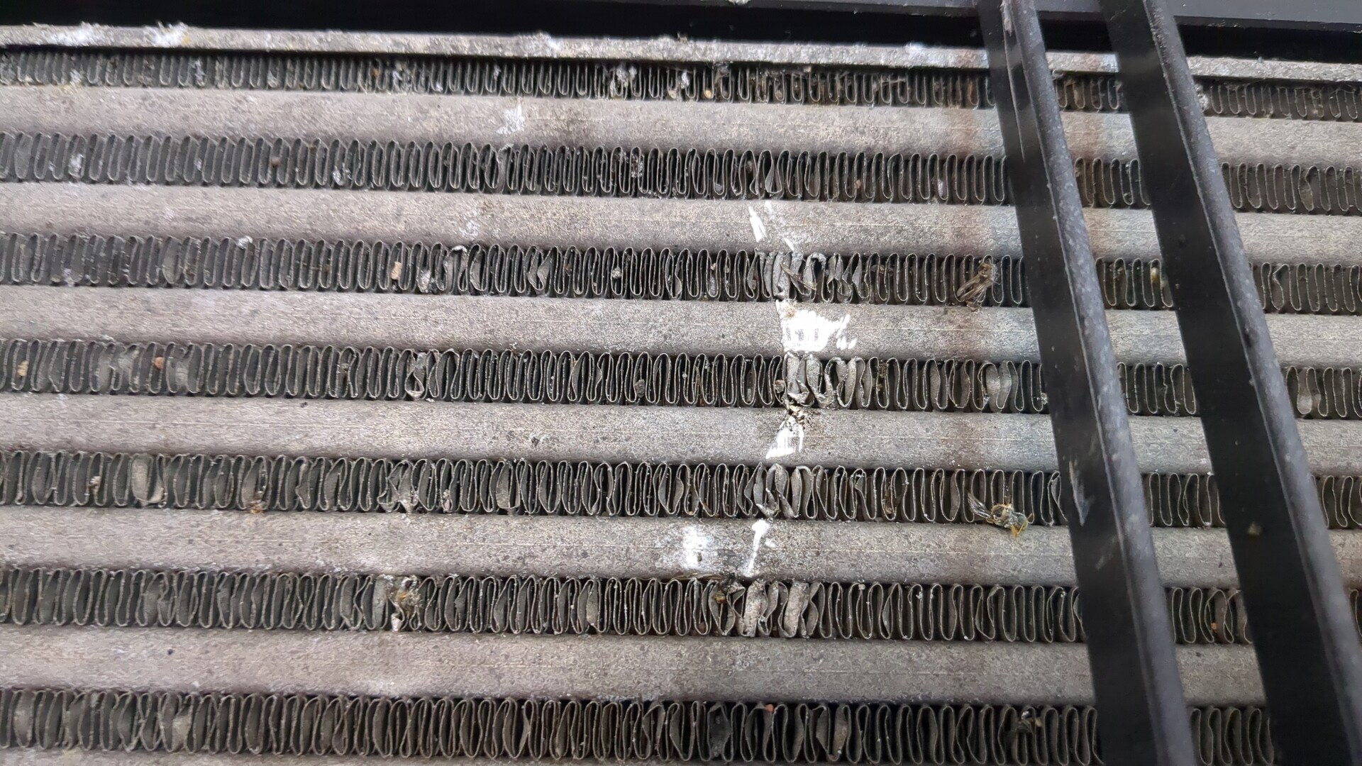 Интеркулер