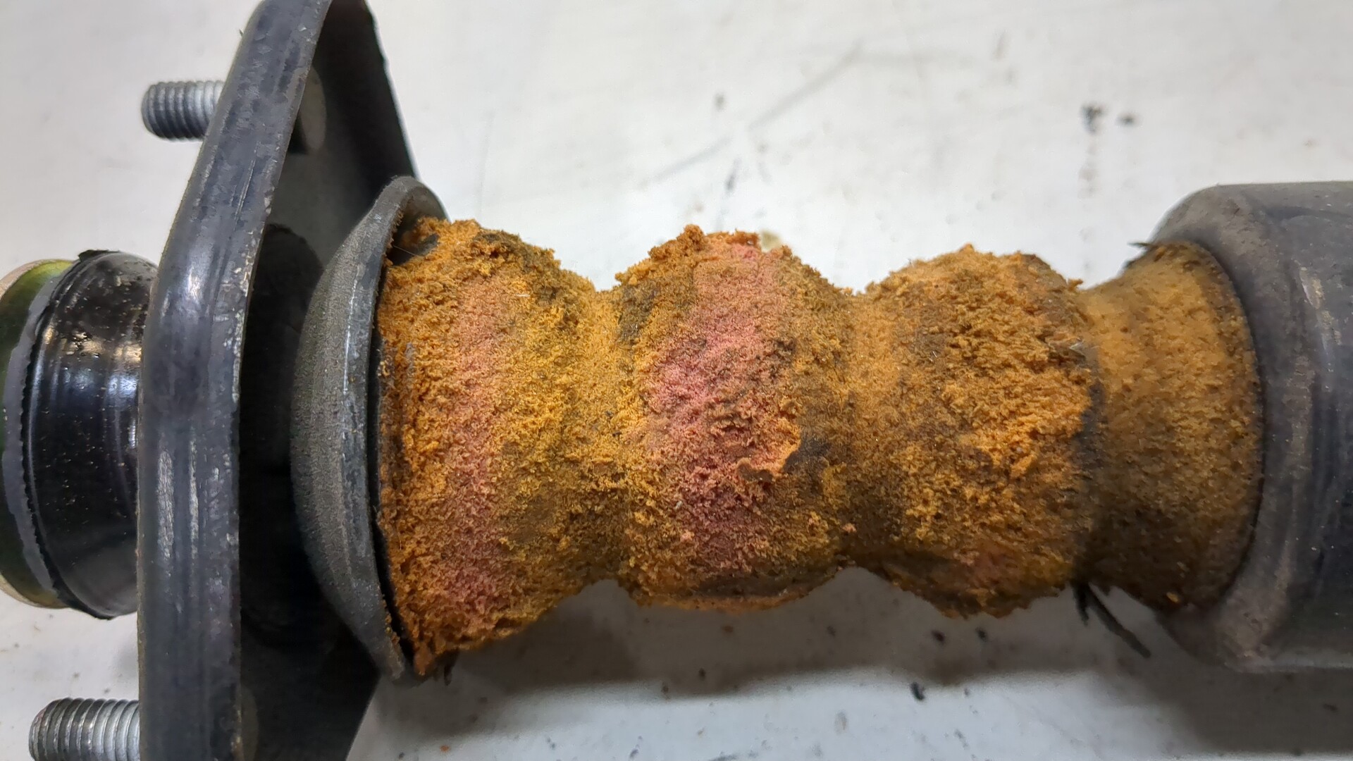 Амортизатор задний (стойка)