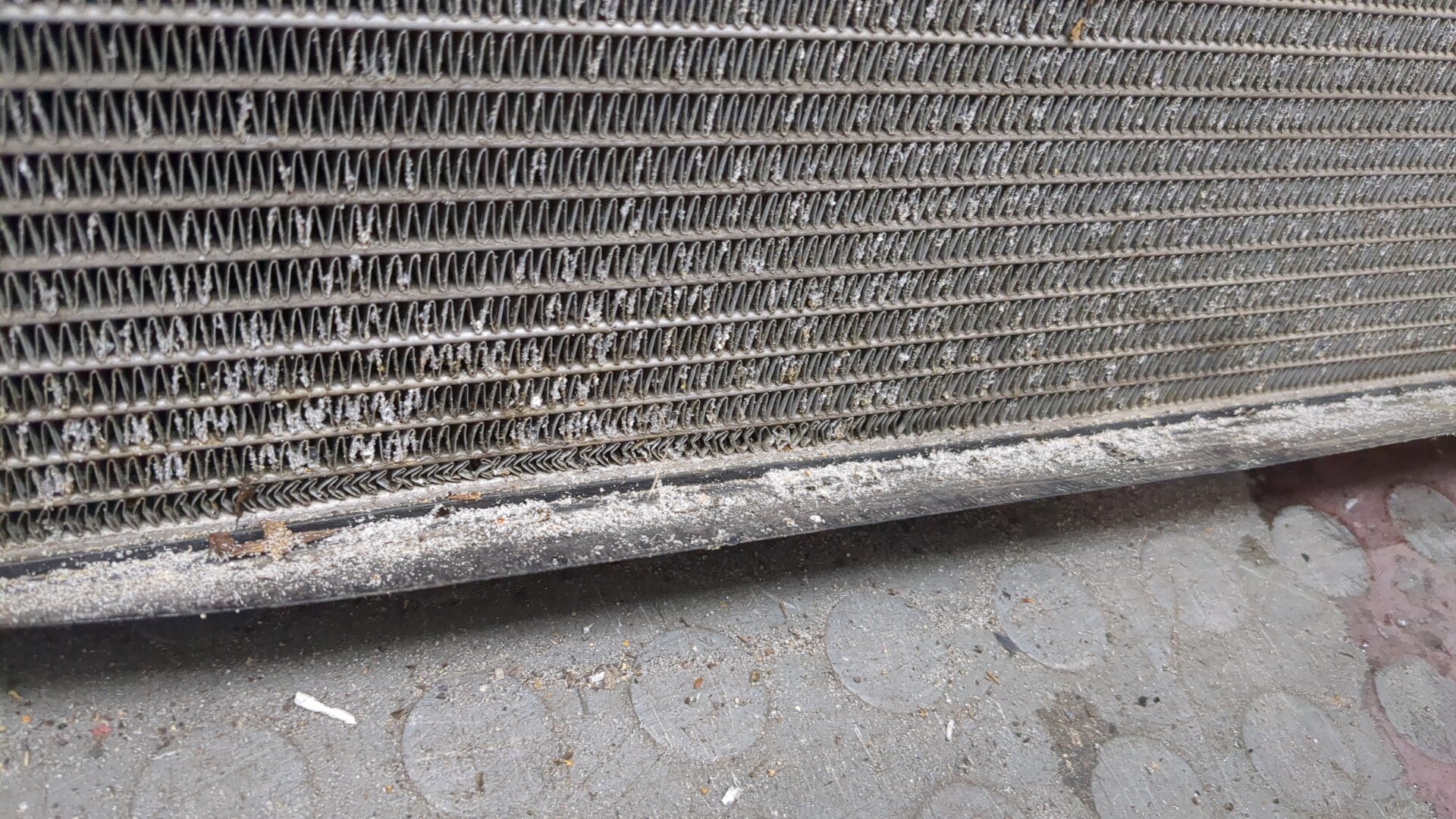 Радиатор охлаждения двигателя основной