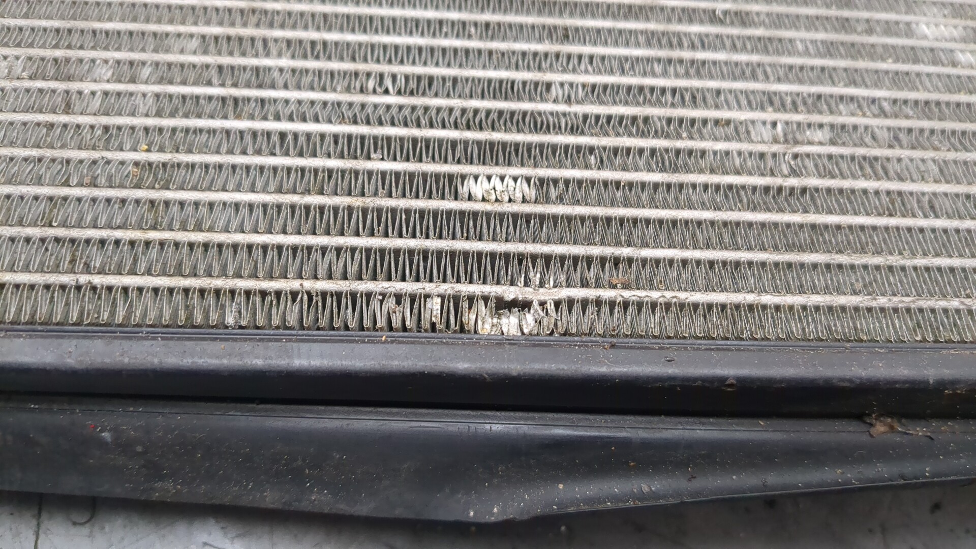 Радиатор охлаждения двигателя основной