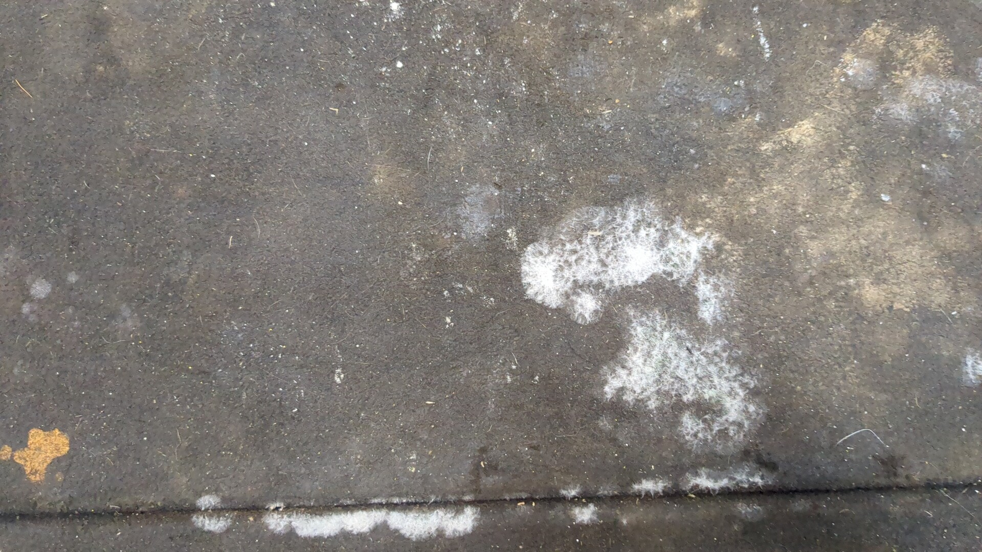 Коврик бардачка