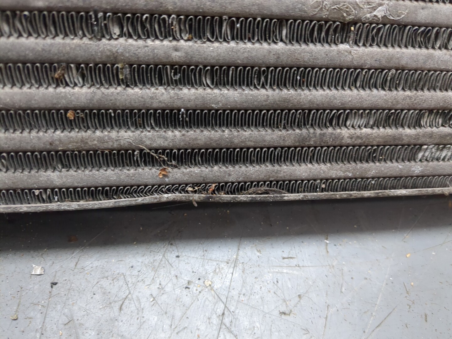 Интеркулер