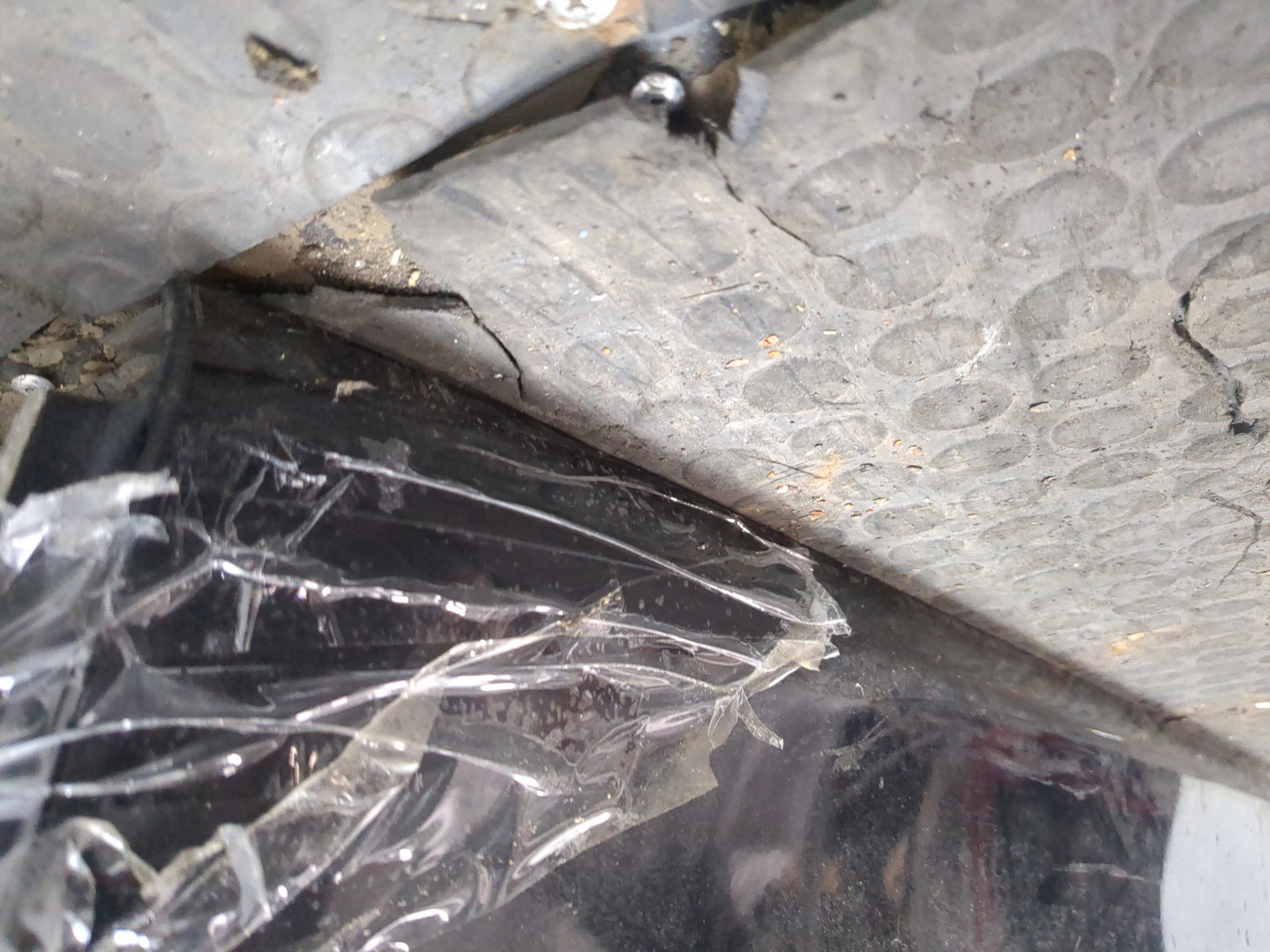 Дверь передняя правая