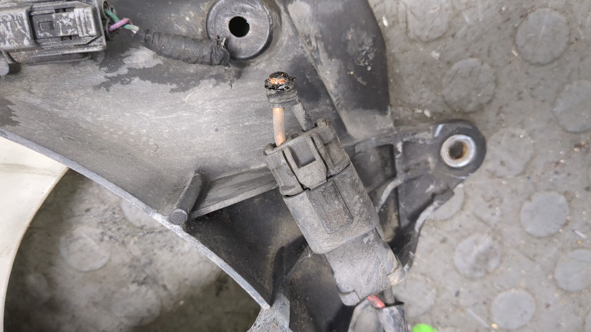 Вентилятор радиатора