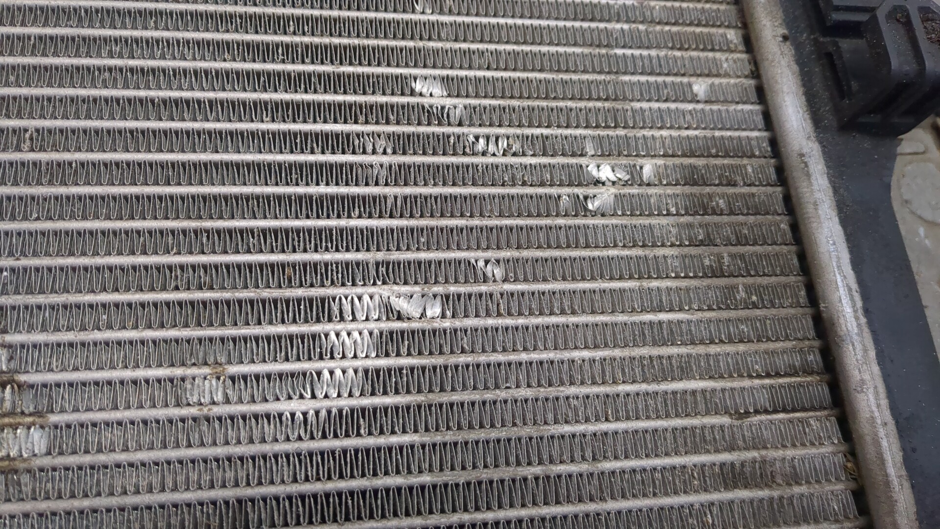 Радиатор охлаждения двигателя основной