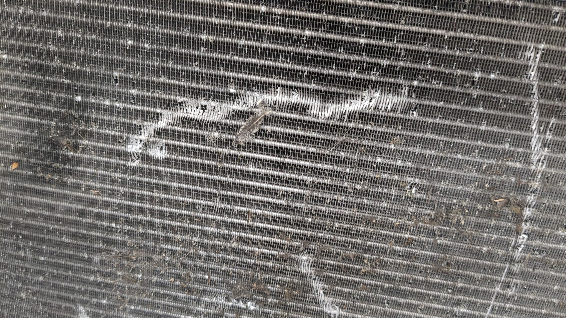 Радиатор охлаждения двигателя основной