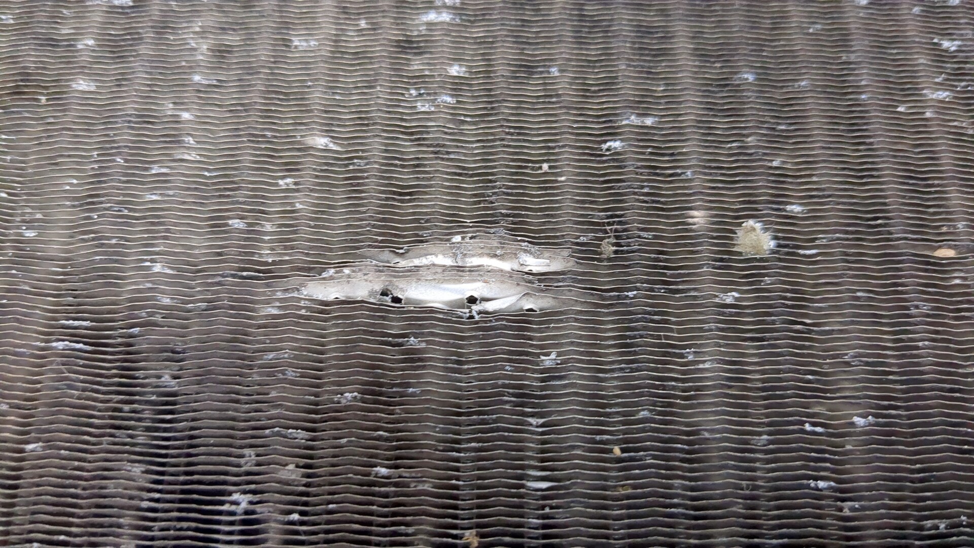 Радиатор охлаждения двигателя основной