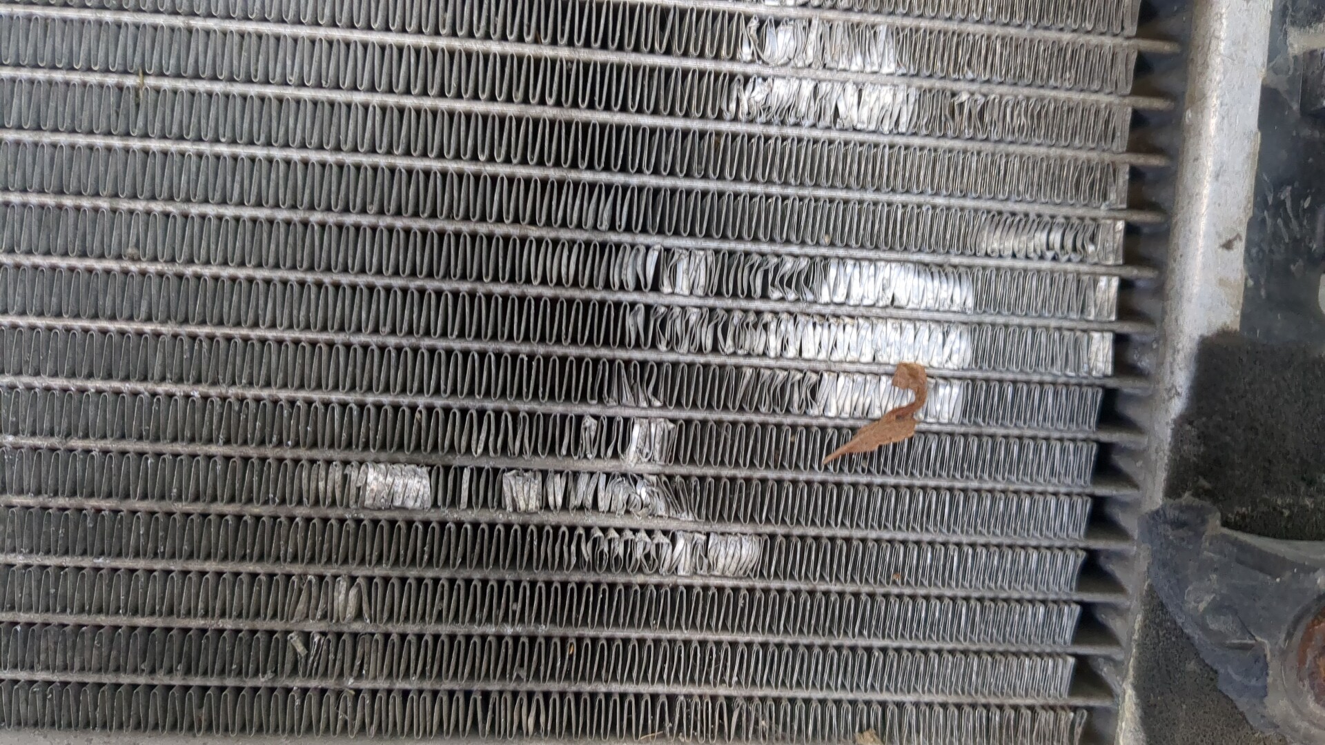 Радиатор охлаждения двигателя основной