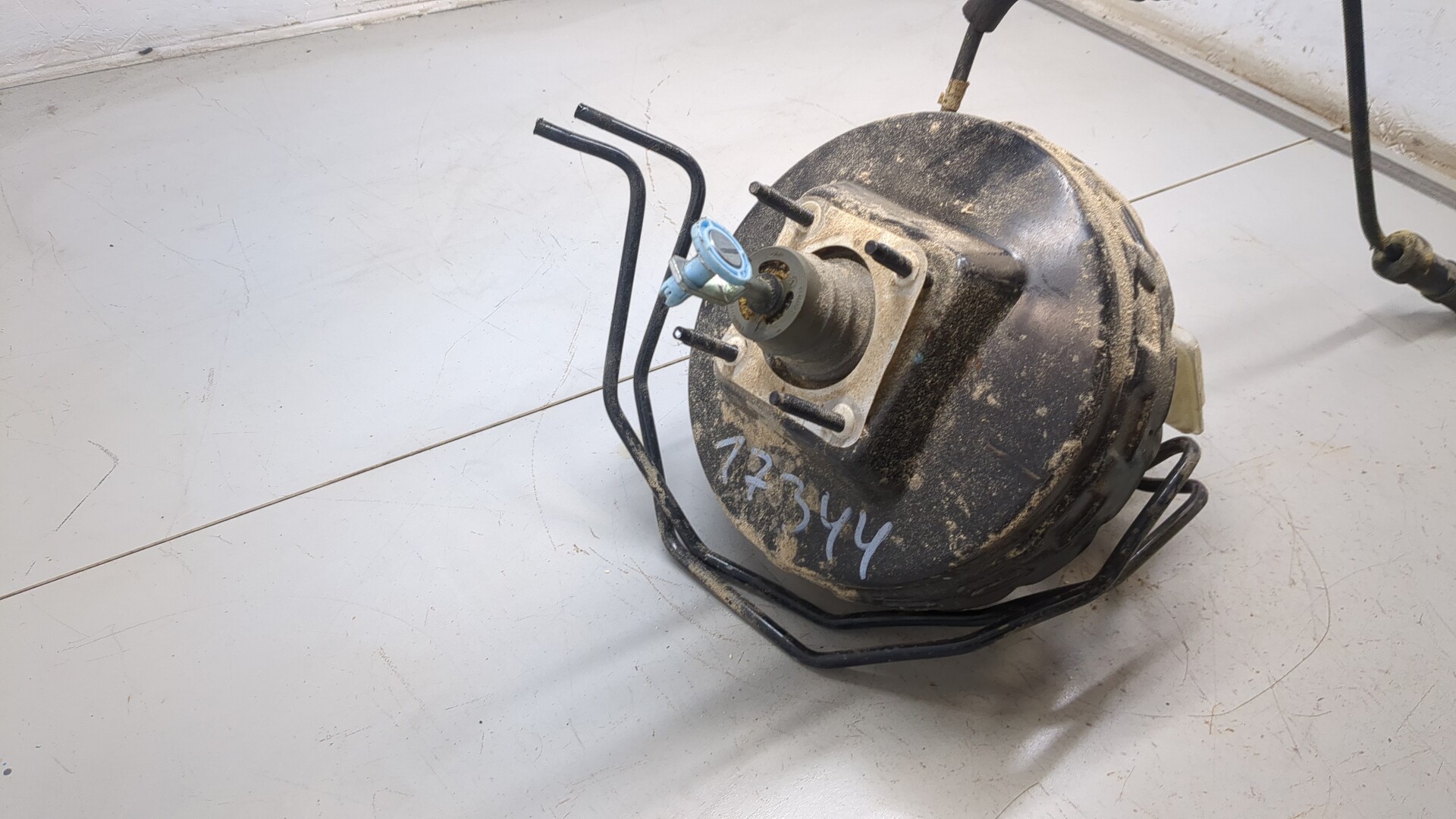 AP-0016316290 AP-0016316290