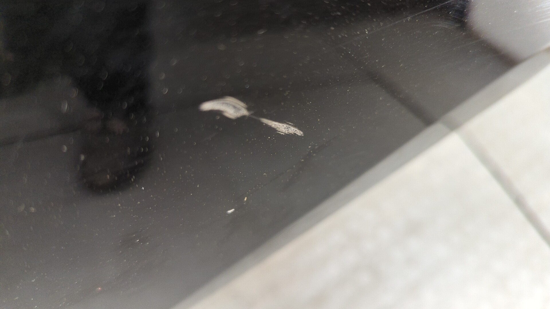 Дверь задняя левая