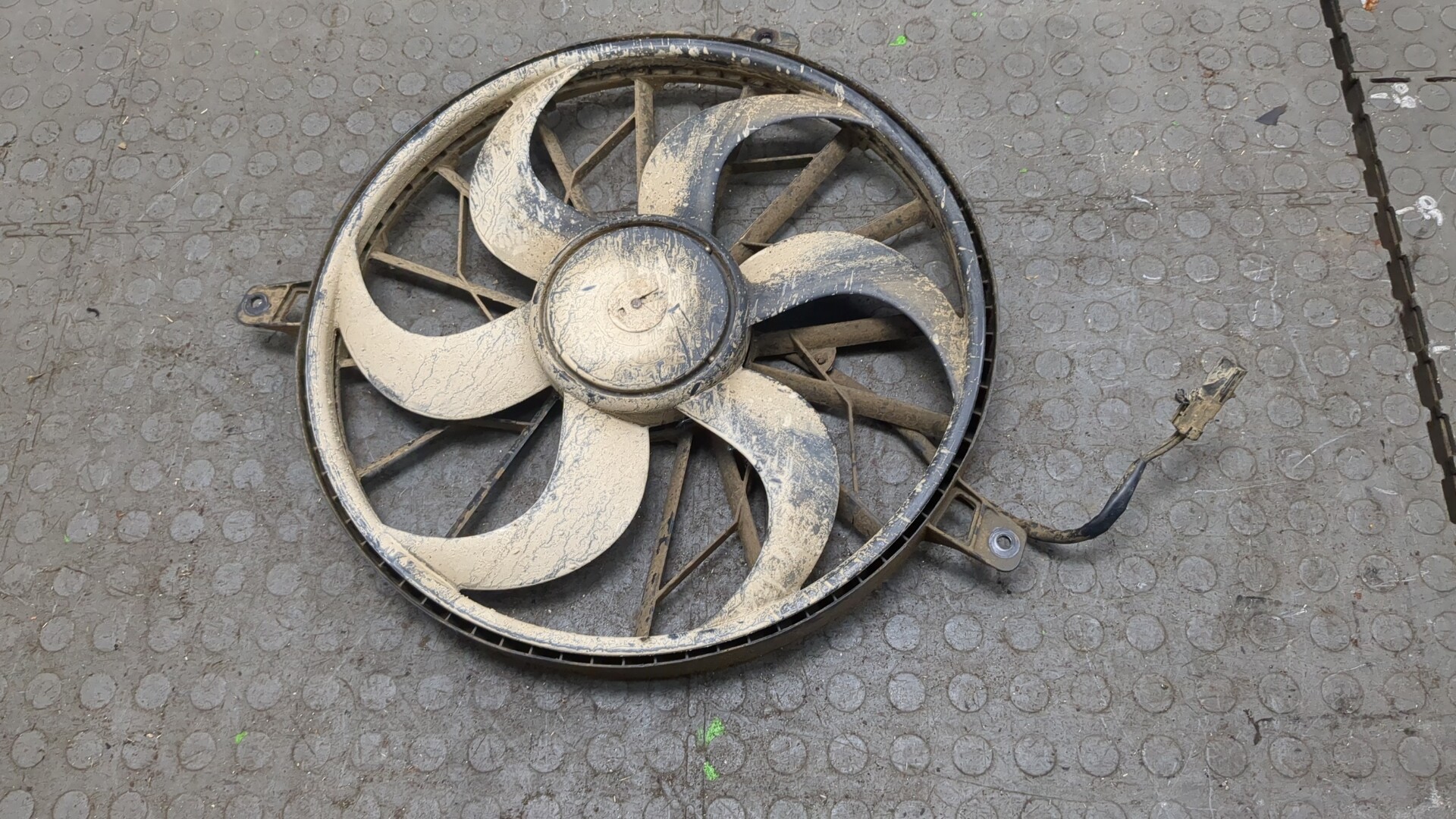 Вентилятор радиатора