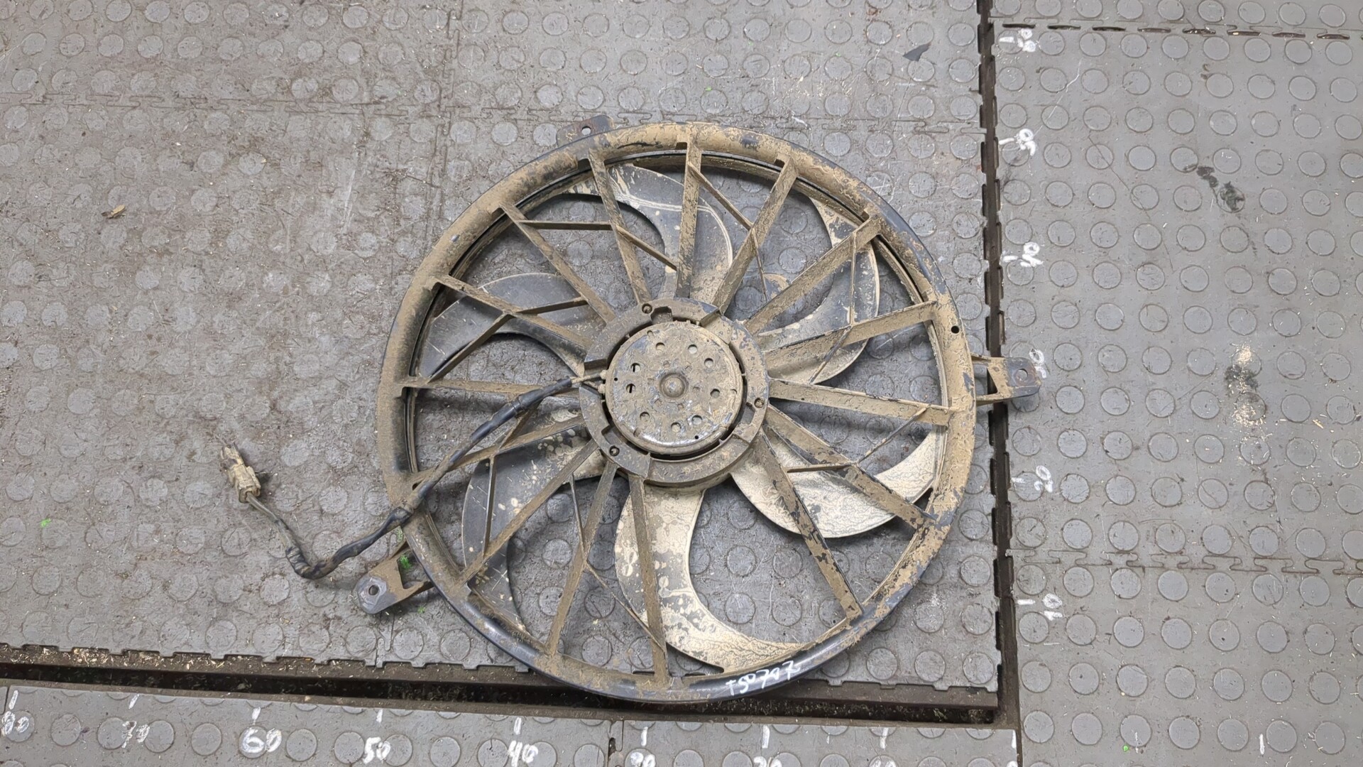 Вентилятор радиатора