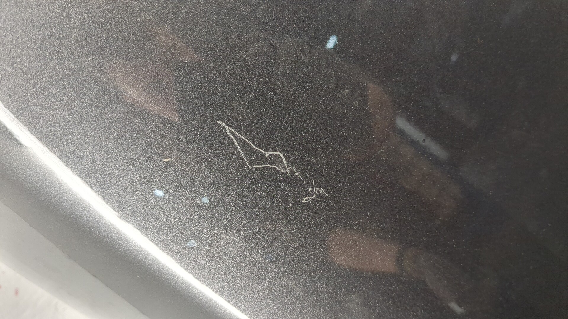 Крыло переднее правое