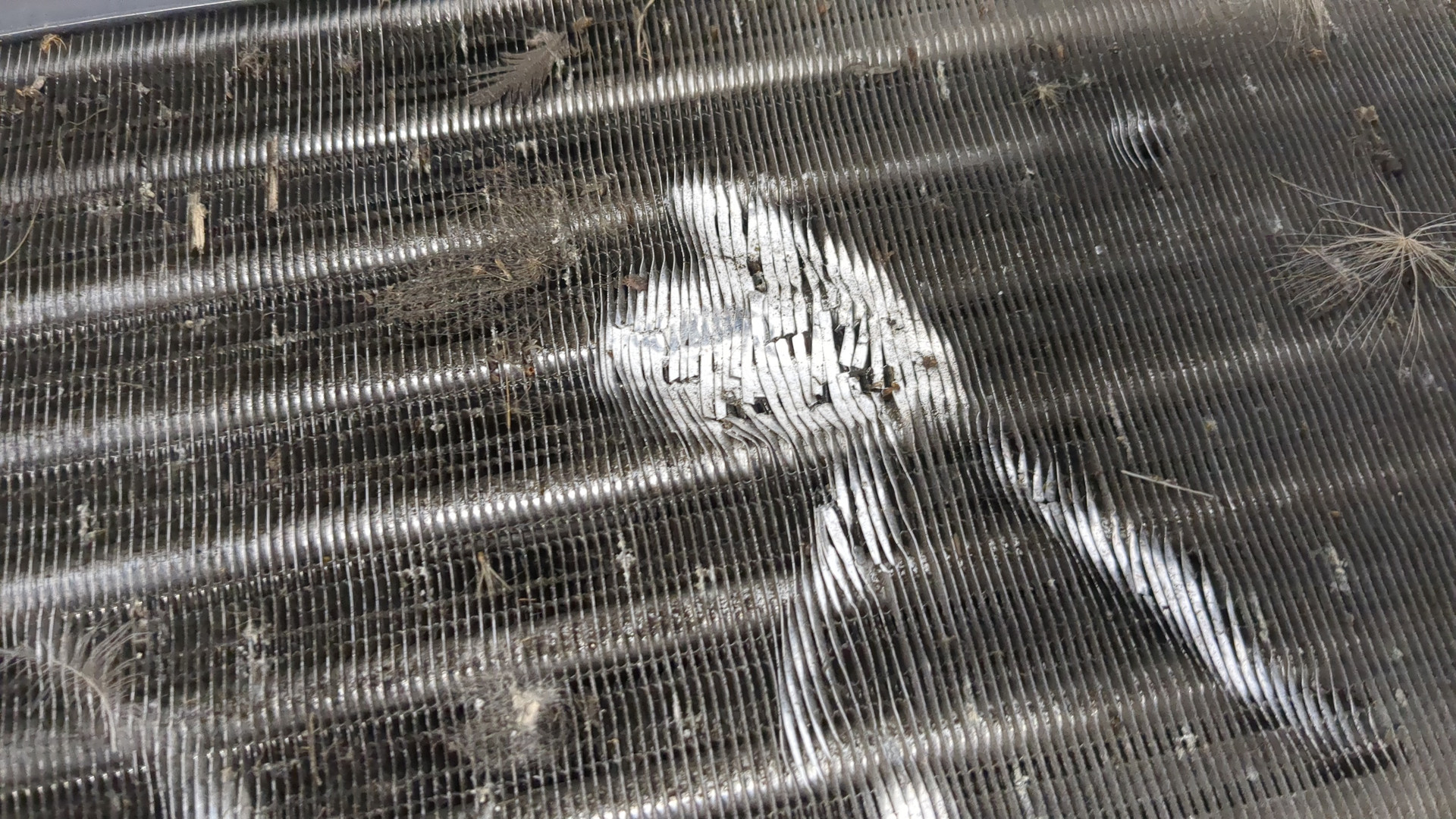 Радиатор охлаждения двигателя основной