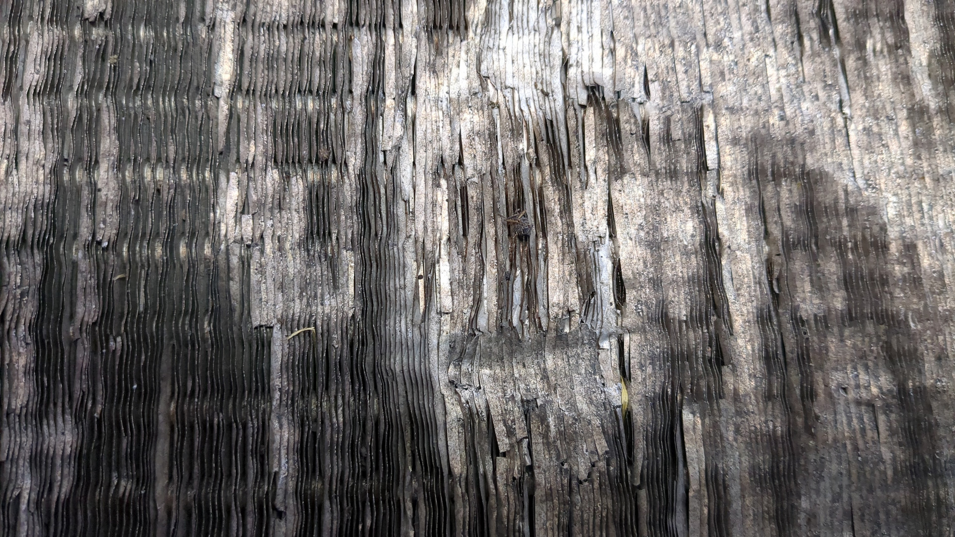 Радиатор охлаждения двигателя основной