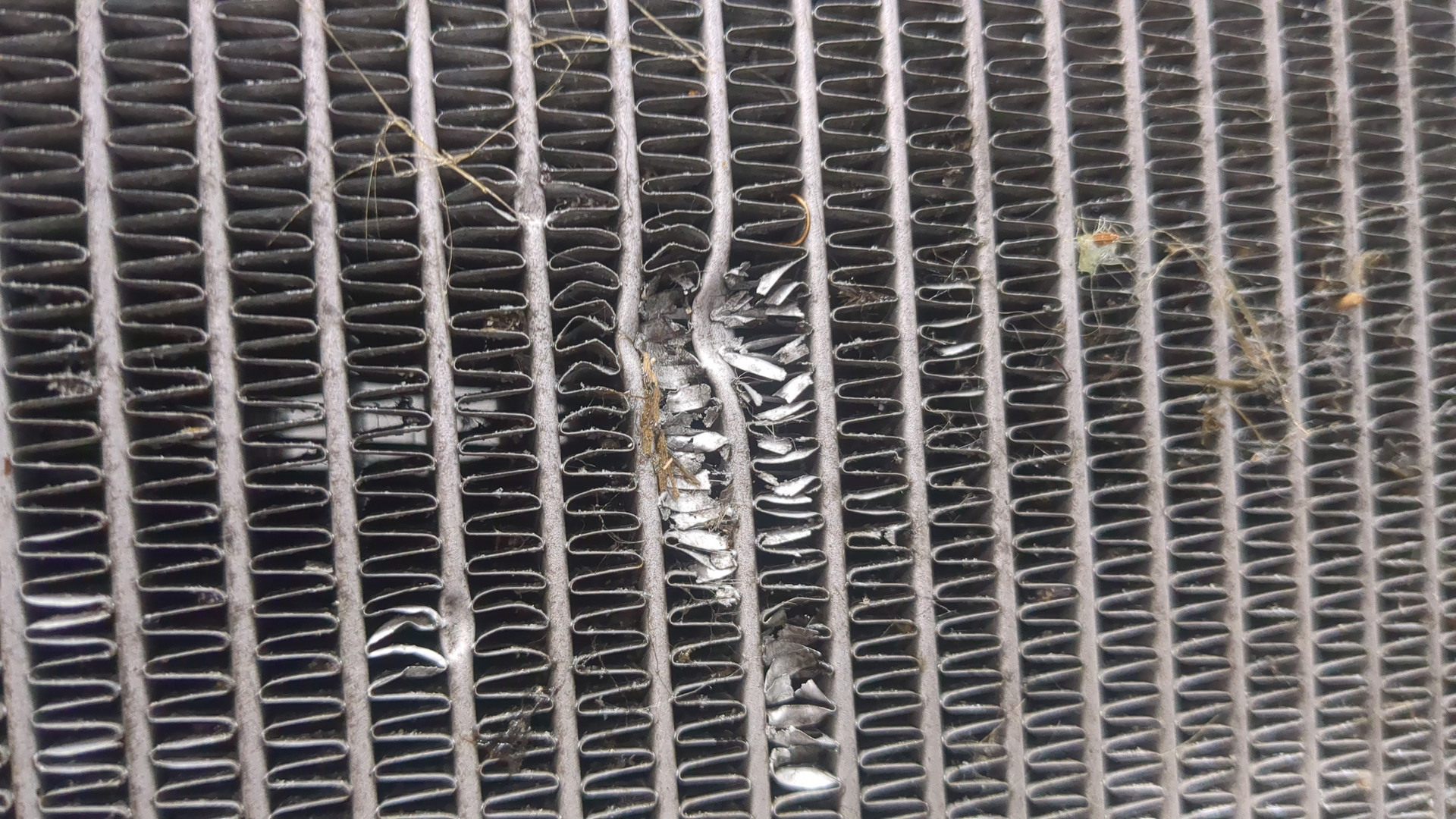 Радиатор охлаждения двигателя основной