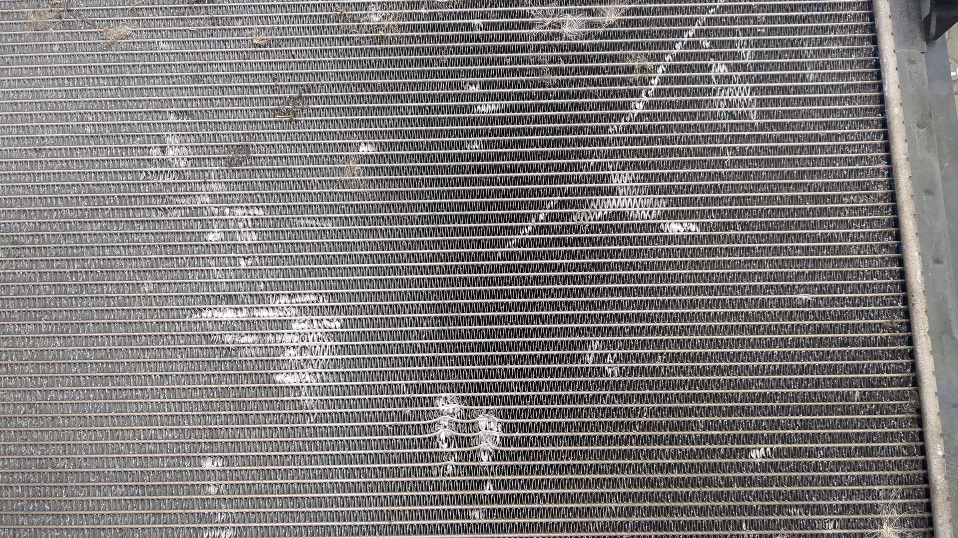 Радиатор охлаждения двигателя основной