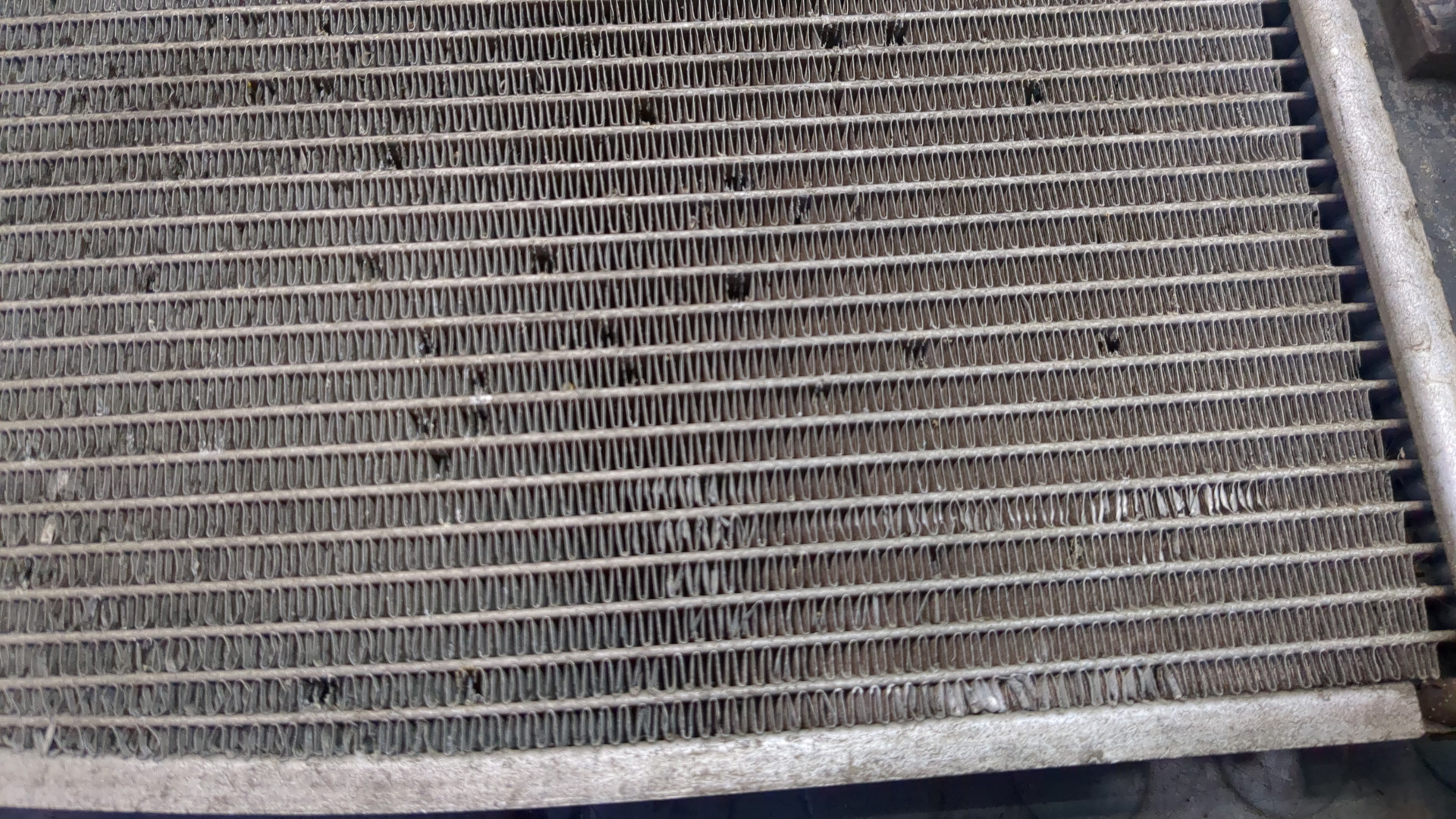 Радиатор охлаждения двигателя основной