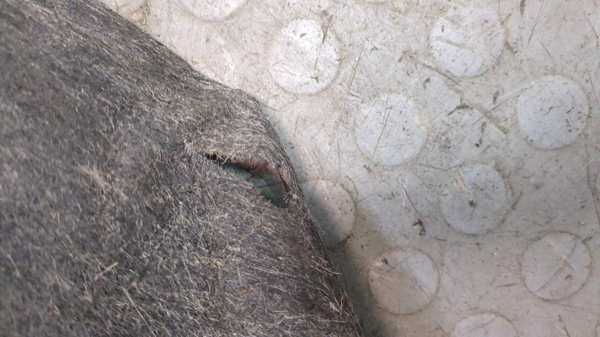 Локер задний правый