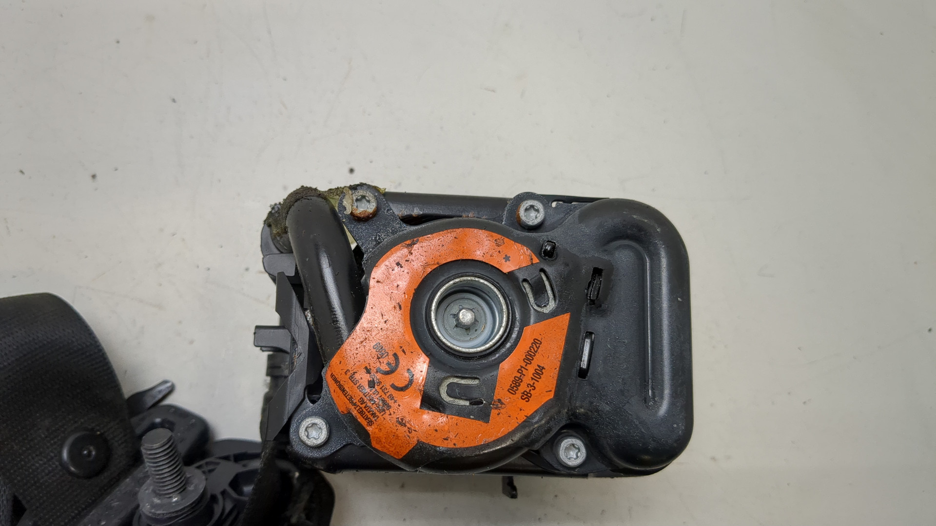 Ремень безопасности