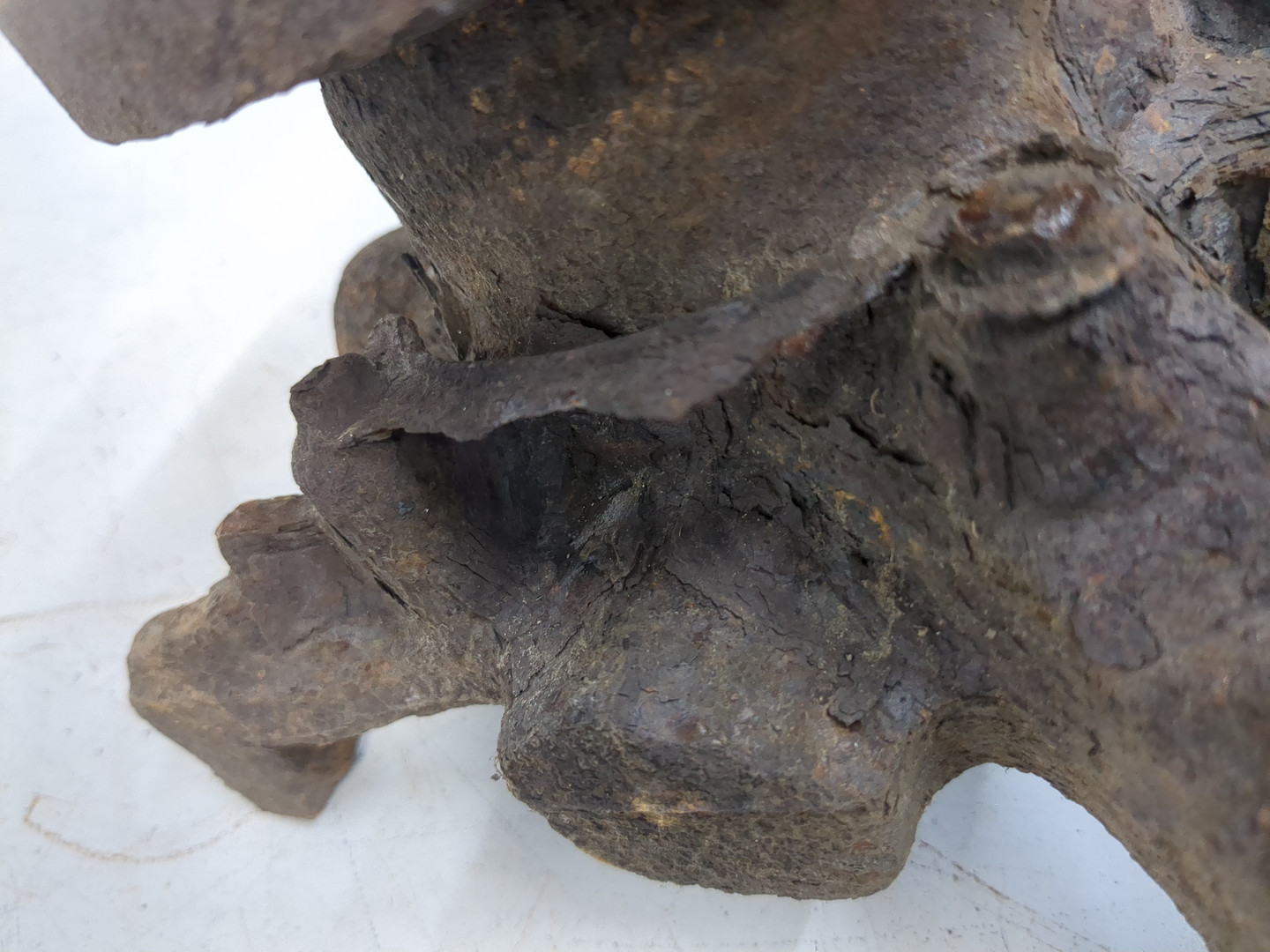 Кулак поворотный задний левый