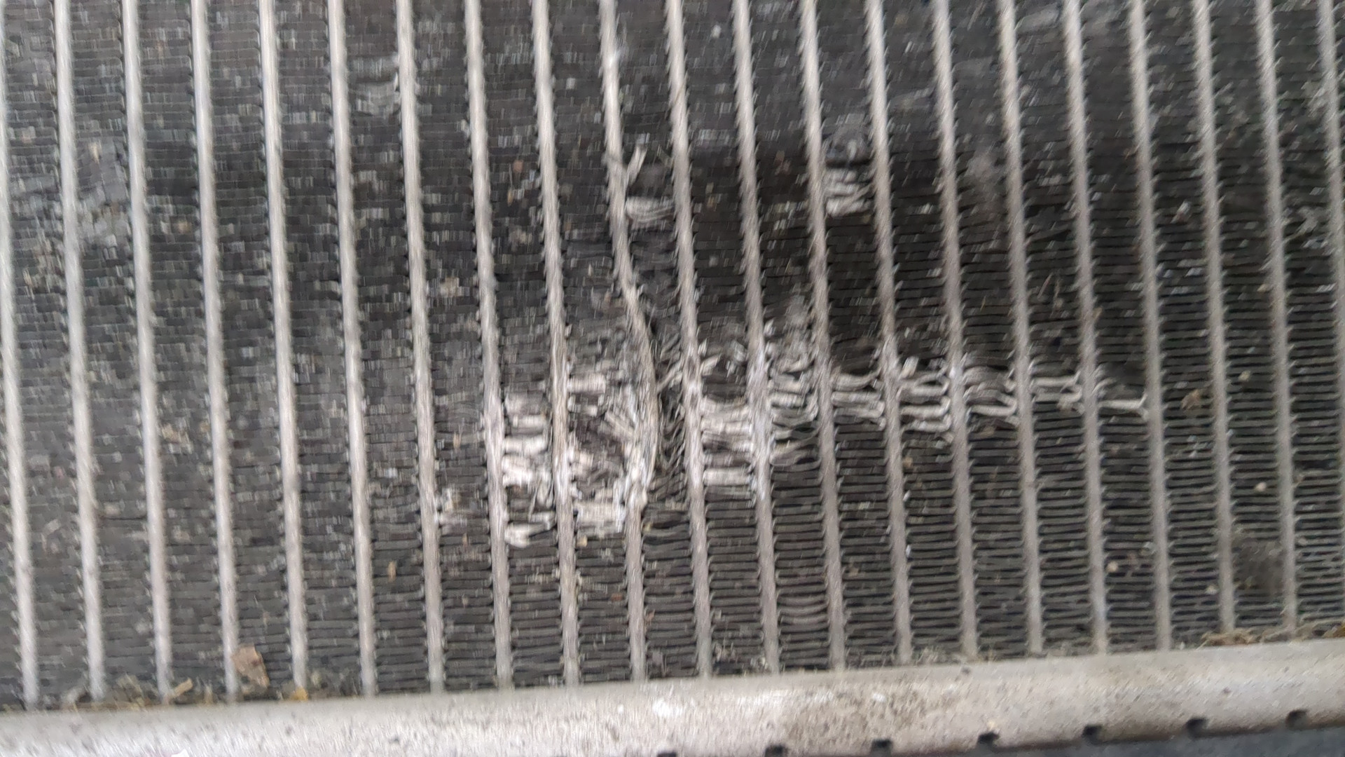 Радиатор охлаждения двигателя основной