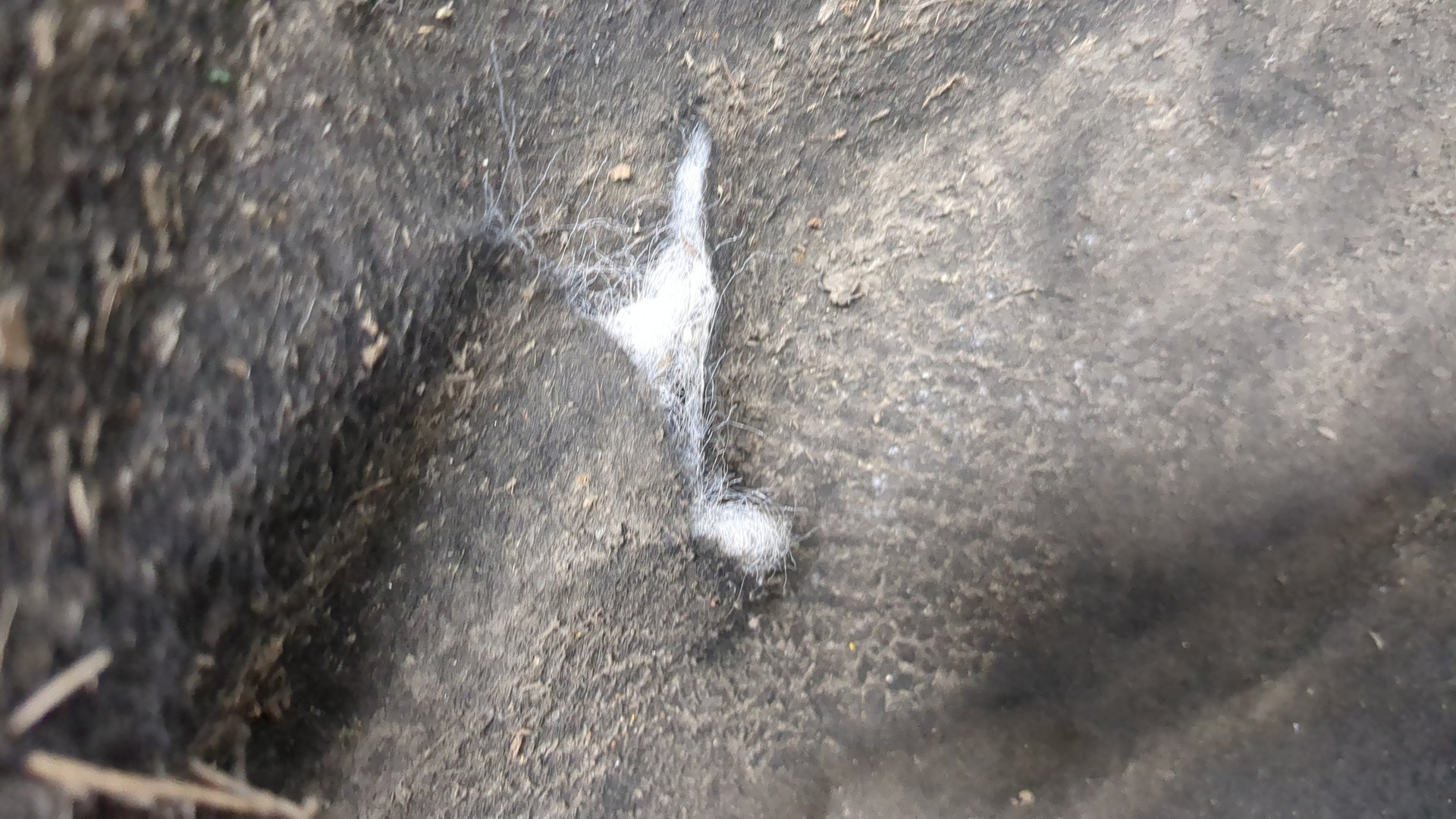 Локер задний левый