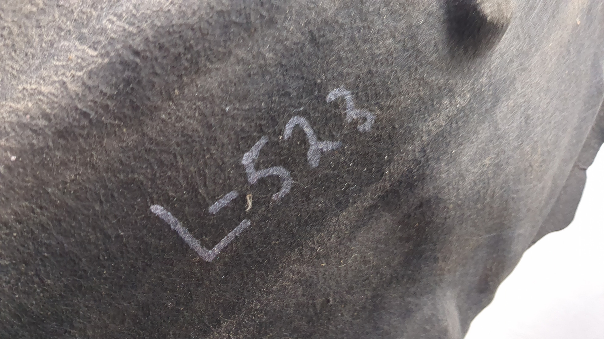 Локер передний левый